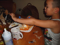 Nee poes! Dat is mijn lasagne